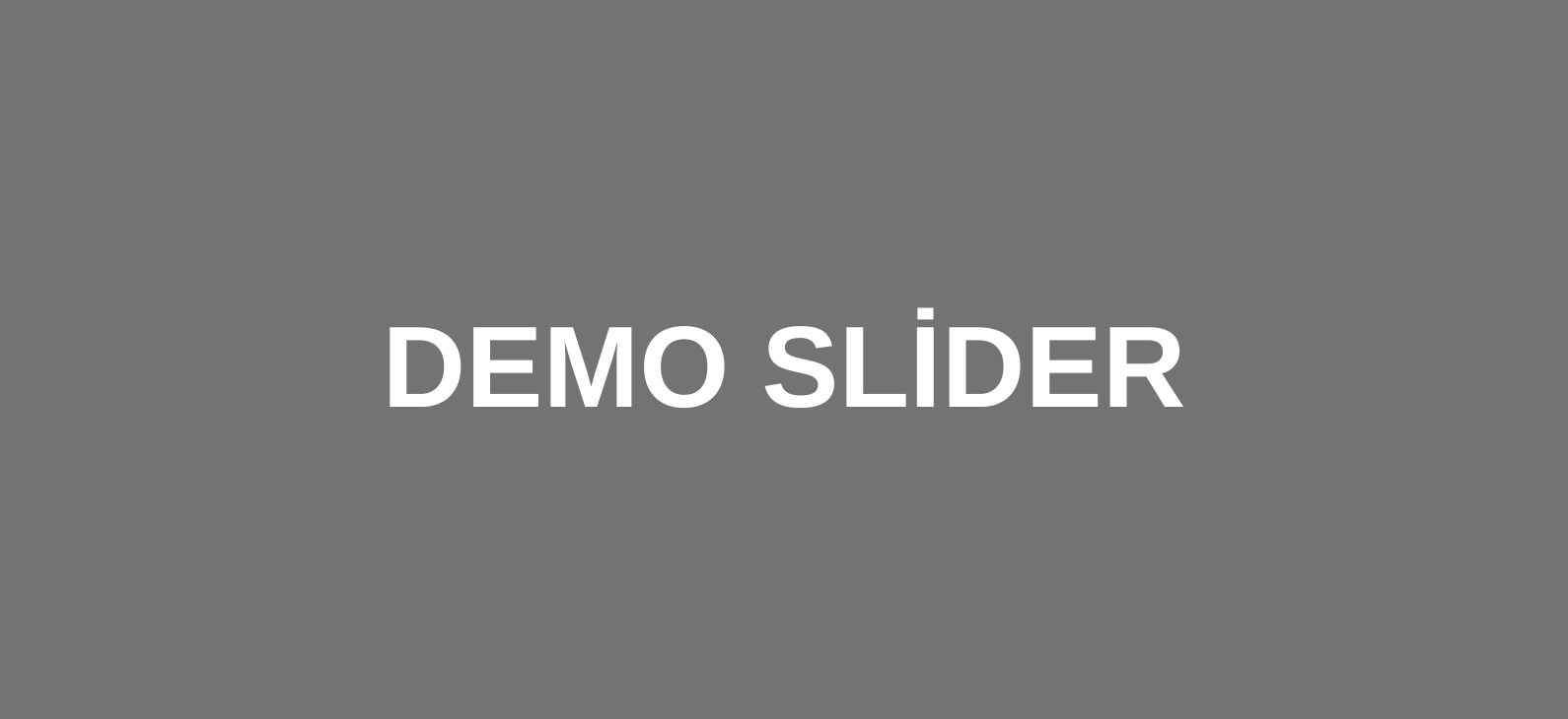 demoslider001